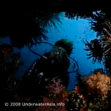Wreck Diver Pattaya